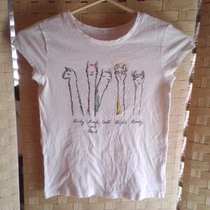 Girls GAP Llama Shirt Size M